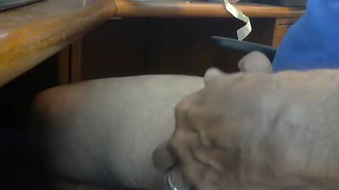 Snapshot of wineman88886 chatting on March 21, 5:05 pm Wineman88886 online show from March 21, 5:05 pm