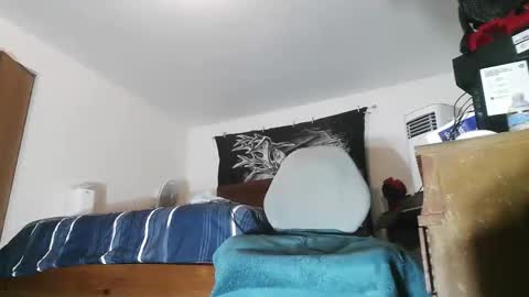 wolfman79 online show from February 18, 11:39 am