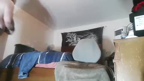 wolfman79 online show from March 24, 10:42 am