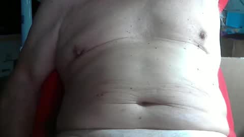 wolfoerl online show from November 11, 3:34 pm