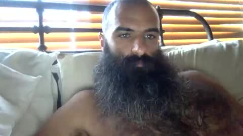 woof_wolf37 online show from February 6, 3:37 pm