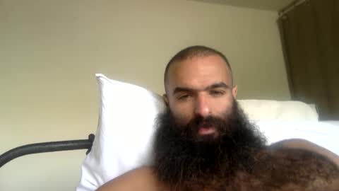 Snapshot of woof_wolf37 chatting on April 21, 4:12 pm woof_wolf37 online show from April 21, 4:12 pm