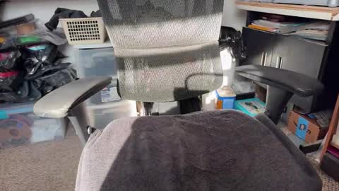 Snapshot of workplace_proximity_associate chatting on January 26, 6:58 pm workplace_proximity_associate online show from January 26, 6:58 pm