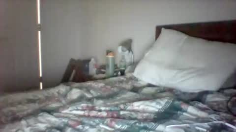 wvmountainlover online show from April 6, 10:38 am