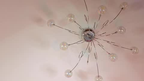 Elvin online show from February 20, 1:44 pm