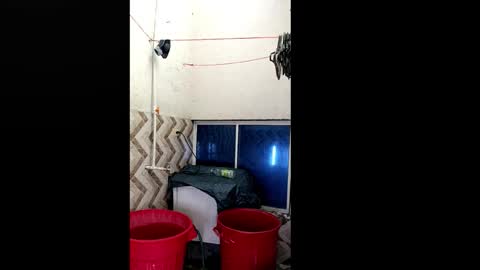 Snapshot of xilongbaby29 chatting on October 18, 1:56 pm xilongbaby29 online show from October 18, 1:56 pm