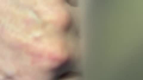 Dada online show from April 26, 1:09 pm