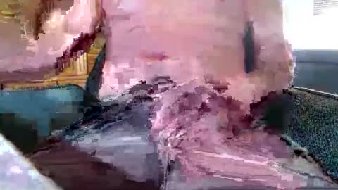 Snapshot of xmen43hot chatting on September 18, 8:49 am xmen43hot online show from September 18, 8:49 am