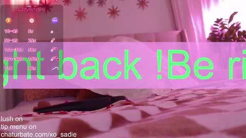 Snapshot of xo_sadie chatting on February 2, 6:01 am Xo Sadie online show from February 2, 6:01 am