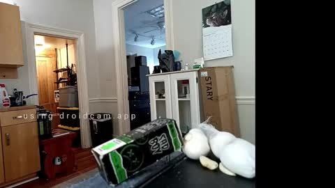 Snapshot of xstay_coldx chatting on February 10, 6:24 pm Johnny online show from February 10, 6:24 pm