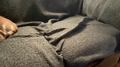 Your Top Favorite online show from December 22, 5:37 am