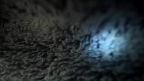 Snapshot of xxxdanidoomsdayxxx chatting on January 5, 5:51 pm Danielle online show from January 5, 5:51 pm