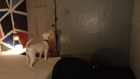 Snapshot of xxxsexydollxxx chatting on February 4, 11:49 am Melissa online show from February 4, 11:49 am