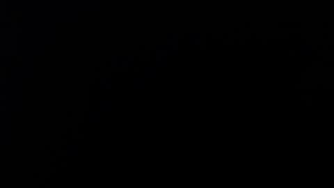 SALMAHOTCAM online show from February 8, 12:41 pm