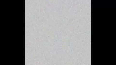 .     y e l l o w s n a k e s       . online show from October 23, 5:33 pm