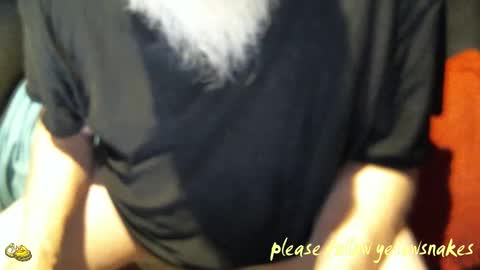 .     y e l l o w s n a k e s       . online show from October 27, 2:10 pm