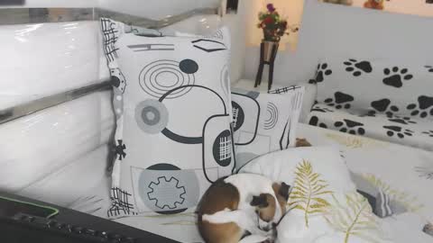 YINAROSS online show from March 27, 9:03 pm