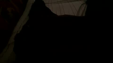 Giannis online show from November 18, 5:23 am