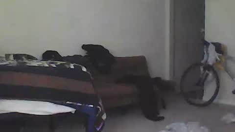 Snapshot of youneverknowimight2 chatting on February 15, 9:37 pm kindahorny online show from February 15, 9:37 pm