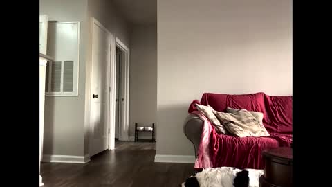 Snapshot of youneverknowimight2 chatting on October 14, 6:09 pm kindahorny online show from October 14, 6:09 pm