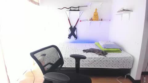 Tao online show from February 26, 3:33 pm