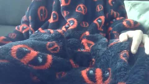 Youraccord online show from April 2, 9:29 am