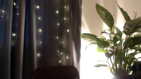 YourDalia online show from November 13, 12:26 pm