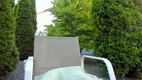 Jacky online show from June 11, 4:32 am