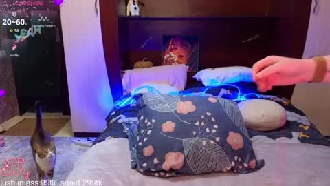 Sweet Sasha online show from March 26, 6:24 pm