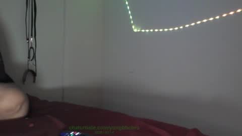 Octavian online show from February 4, 9:37 am