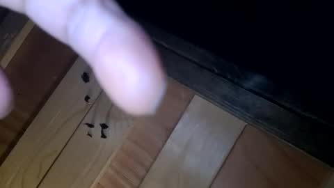 yungnhandsumdee online show from October 13, 5:51 am