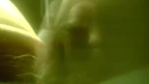 zaboski4 online show from February 25, 7:40 am