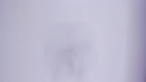 zafira online show from March 7, 4:15 pm