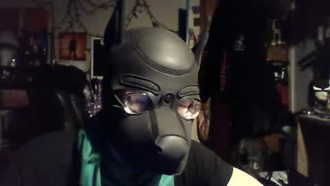 ZanePup online show from June 29, 7:47 am