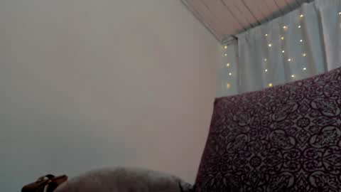 Zara . online show from January 24, 11:59 am