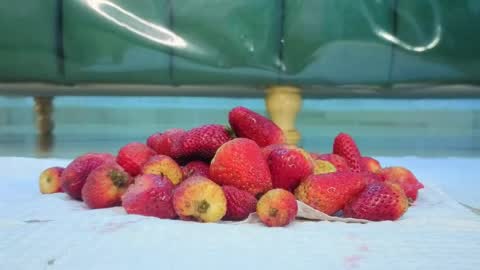 Isabella online show from March 31, 12:49 pm