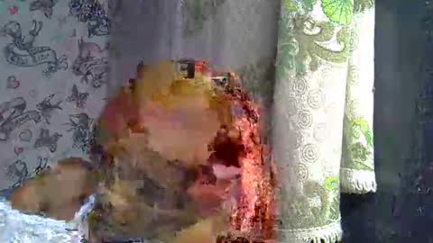 zarinamarlin online show from March 18, 9:12 am