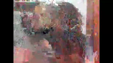 Snapshot of zatiro992 chatting on February 14, 7:49 am Zatth online show from February 14, 7:49 am