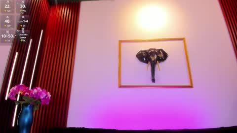  Zayda  online show from February 26, 8:30 pm