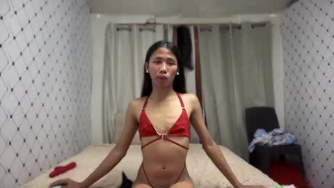 Zinnia nics online show from November 10, 5:17 am