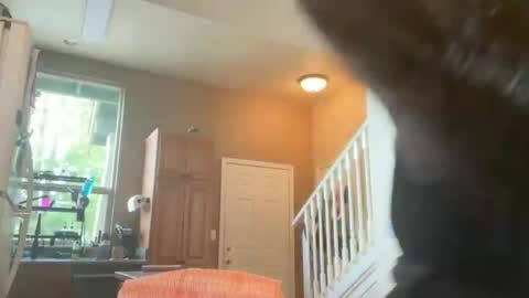 Zoeydanner online show from February 17, 8:48 pm