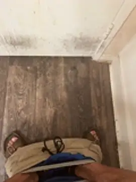 Snapshot of ghostx457_2 chatting on March 15, 12:11 pm ghostx457 2 online show from March 15, 12:11 pm