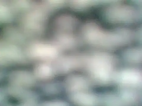 Helennahot online show from April 21, 6:34 pm