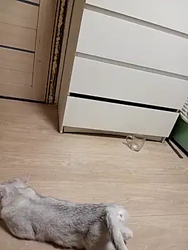 Linda Gregory online show from February 18, 11:33 pm