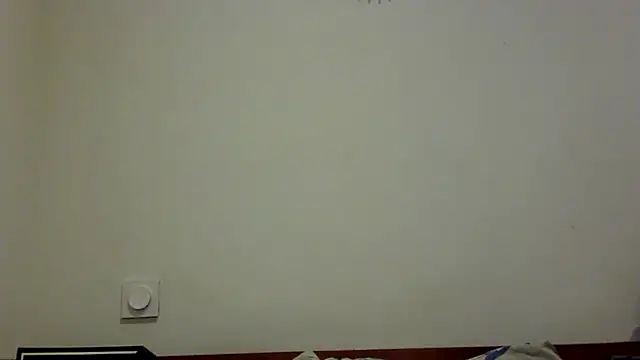 feline27 online show from October 28, 9:17 pm