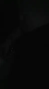 Bi curious86 online show from November 13, 4:44 am