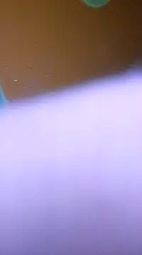 Snapshot of ducicsajsziii chatting on January 28, 5:54 am ducicsajsziii online show from January 28, 5:54 am