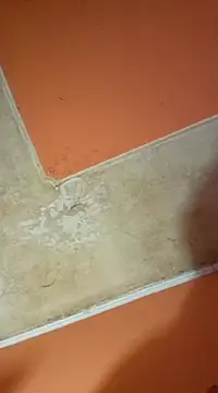 Snapshot of ducicsajsziii chatting on March 19, 3:08 pm ducicsajsziii online show from March 19, 3:08 pm