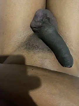 Snapshot of xforx chatting on February 6, 12:37 am xforx online show from February 6, 12:37 am