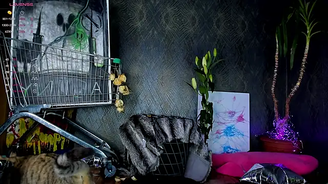 Snapshot of little_grinch666 chatting on January 30, 7:59 pm little grinch666 online show from January 30, 7:59 pm